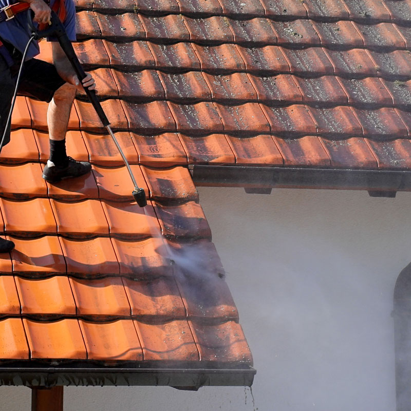 Spruce: Services & Solutions | Greenville, SC, Asheville, NC, Columbia, SC, Charleston, SC | Residential Roof Clean