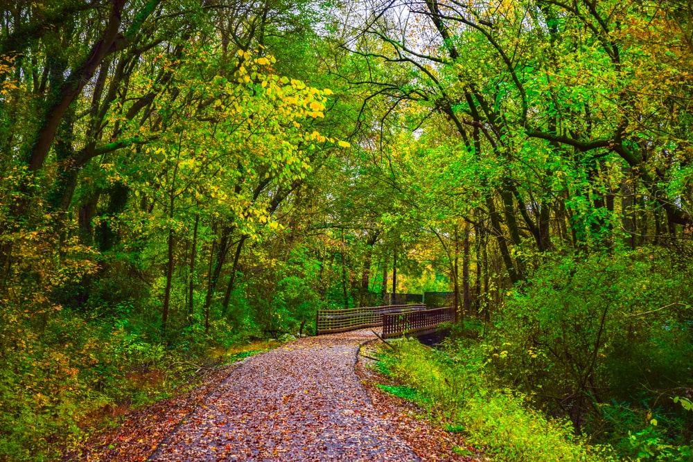 Swamp Rabbit Trail in Greenville South Carolina SC